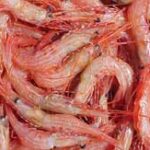 Shrimp stocks: Avanti Feeds, Apex Frozen soar up to 16%; here’s why | Markets News- QHN
